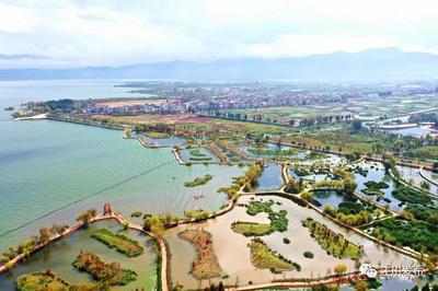玉溪江川：家门口的“诗和远方”，冬日的月亮湾湿地公园别样美！