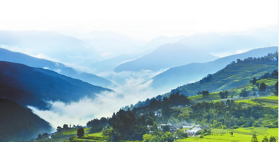 喜迎省第十一次党代会｜守护绿水青山 培育金山银山