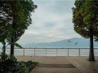 图集 | 海洪湿地公园打卡红杉林