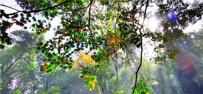 你在北方的寒夜里大雪纷飞，我在红河的艳阳里五彩缤纷