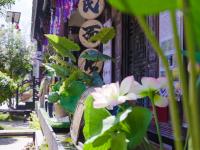 图集 | 巍山东莲花美食街