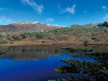 冬之韵！与轿子雪山赴一场冬日之约