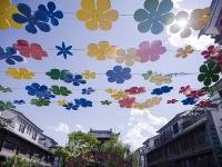 图集 | 巍山东莲花美食街