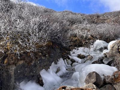 冬天里的童话世界∣白马雪山
