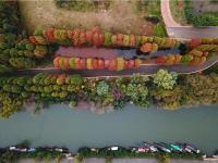 图集 | 海洪湿地公园打卡红杉林