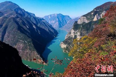 长江三峡红叶迎客 第十五届巫山国际红叶节开幕