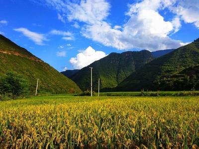 永仁县喜报！外普拉村被认定为国家3A级旅游景区