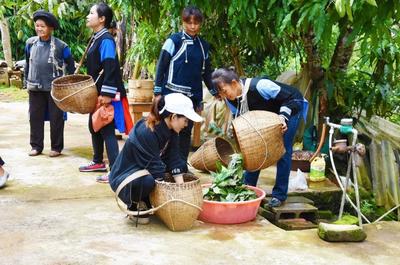 云礼 | 老帕卡茶——能喝的“非遗”