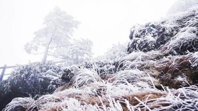 图集 | 秘境轿子山
