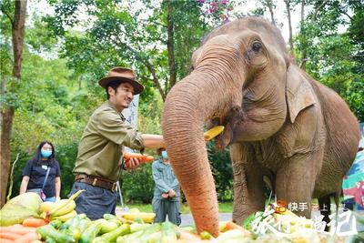 快手旅行奇遇记云南站圆满收官，以“短视频+直播”深度赋能目的地营销