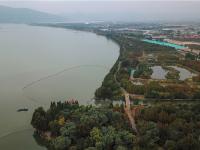 图集 | 海洪湿地公园打卡红杉林