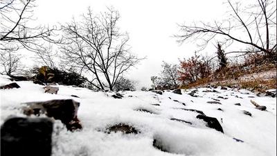 曲靖会泽迎来今冬第一场雪