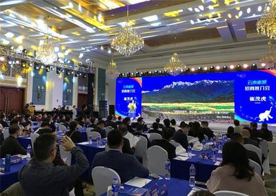 云南在进博舞台上“秀”风景惹人爱