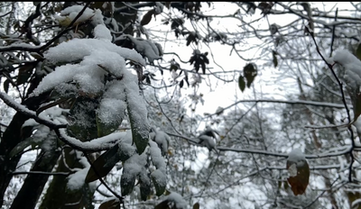 来铜锣坝，和一场雪邂逅一段浪漫的思念！
