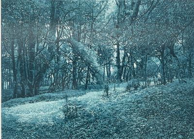 展讯｜谱系+ ——1978 年以来的云南版画作品展