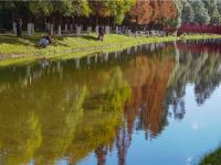 图集 | 采莲河 城市里的美景