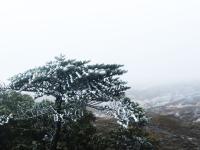 图集 | 轿子雪山冬意浓，寻雾看挂正当时 