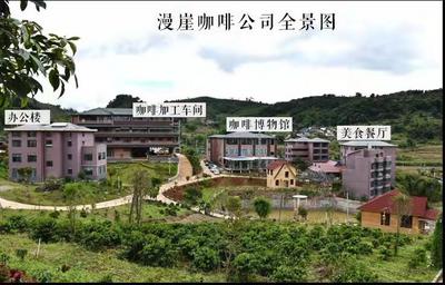 坐上火车游普洱，打卡一座名为“漫崖”的咖啡庄园！