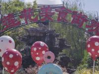 图集 | 巍山东莲花美食街