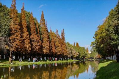 图集 | 采莲河 城市里的美景