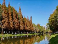 图集 | 采莲河 城市里的美景