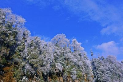 来铜锣坝，和一场雪邂逅一段浪漫的思念！
