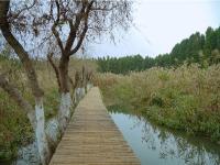 图集 | 捞鱼河湿地公园 漫步林间 亲水观湖