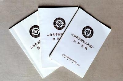 云南省非遗保护中心：十年躬耕有初成 接续奋斗谱新篇