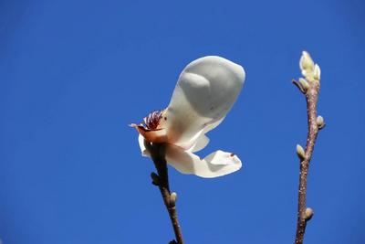 【云游云南】在冬天，听见云南花开的声音！