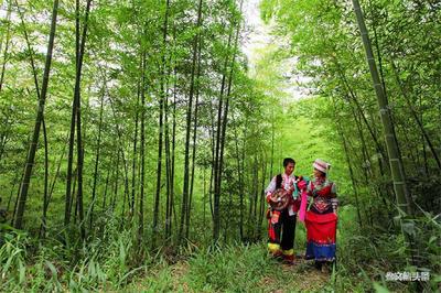 跟着中老铁路游玉溪，最全攻略看这里！