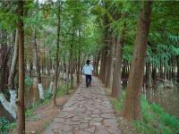 图集 | 捞鱼河湿地公园 漫步林间 亲水观湖