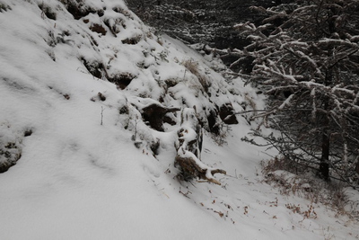 下雪了下雪了！轿子雪山再一次穿上雪白盛装
