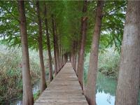 图集 | 捞鱼河湿地公园 漫步林间 亲水观湖