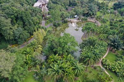 图集 | 西双版纳热带植物园