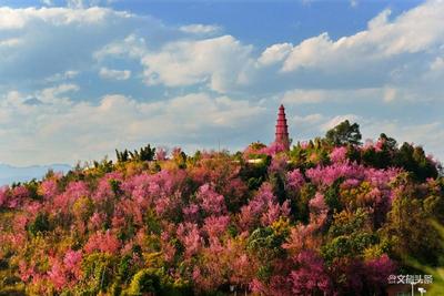 跟着中老铁路游玉溪，最全攻略看这里！