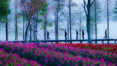 【美丽大理】《一路唱响》节目走进大理，苍洱风光再吸粉