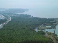 图集 | 捞鱼河湿地公园 漫步林间 亲水观湖