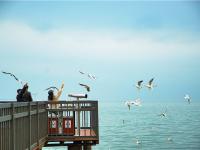 图集 | 捞鱼河湿地公园 漫步林间 亲水观湖