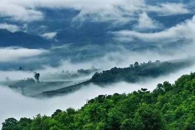 西双版纳忆茶香 | 品一杯茶 游一座山