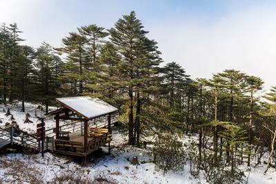 全网565.7万人次围观  “发现轿子雪山”主题直播火了！