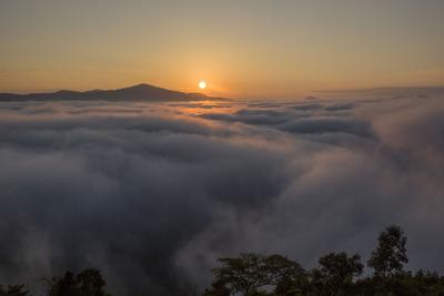 乘着列车游西双版纳 | 初冬 爬上山 观云海