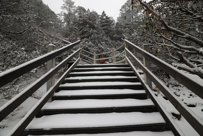下雪了下雪了！轿子雪山再一次穿上雪白盛装