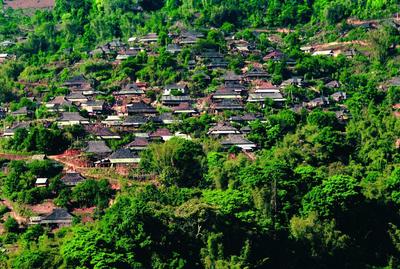 “象”往之地的高“反差萌” 这样的西双版纳必须安利！