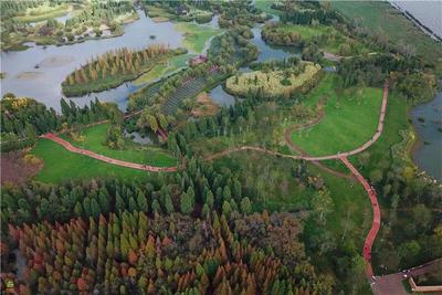 538.14万人次一起探寻滇池湿地生物多样性