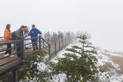 全网565.7万人次围观  “发现轿子雪山”主题直播火了！