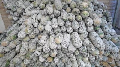 非遗传承人李海美：大山里的食材搬运工 做原始正宗的基诺味