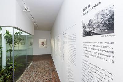 走进曾孝濂美术馆，探寻笔尖上的花鸟世界