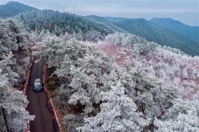 玉溪旅游风光风情摄影作品在青花街开展