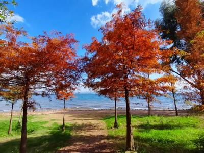 抚仙湖冬日不能错过的风景，一起来看看吧！