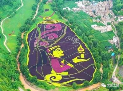昆明市宜良县拟被授予 2021年“中国天然氧吧”称号 